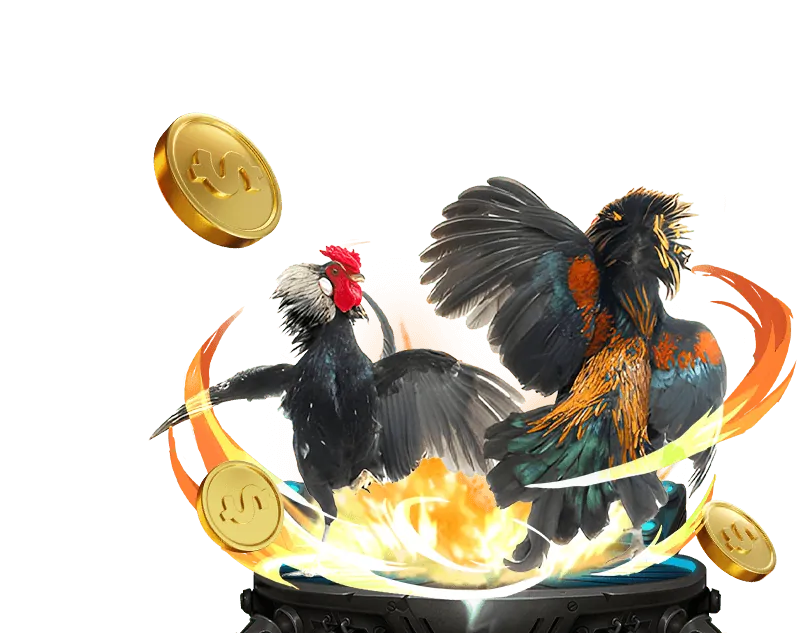 Xu hướng thị trường cá cược i9bet121